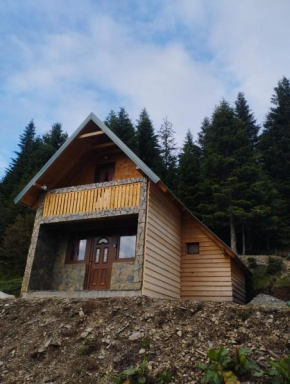 Weekend house Komovi